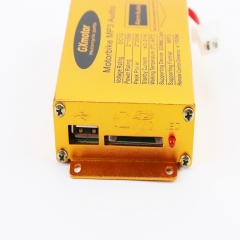 Ĳ- (-USB/SD+FM-++) +  2 (  "") (301286)